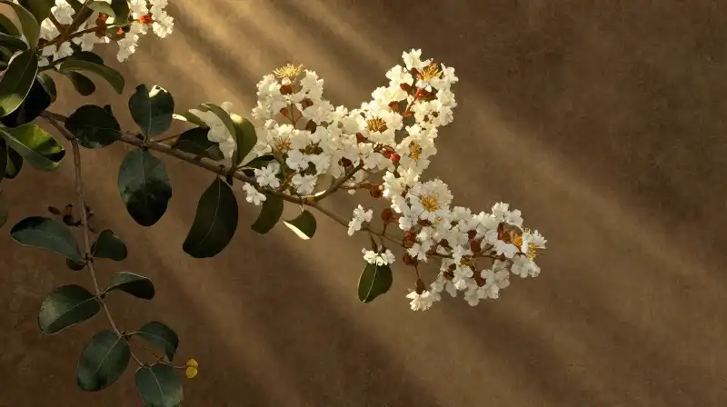 Intricate crape myrtle blossoms glow dramatically amidst golden mist