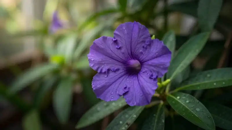 A vibrant purple flower shines in the dappled greenhouse light