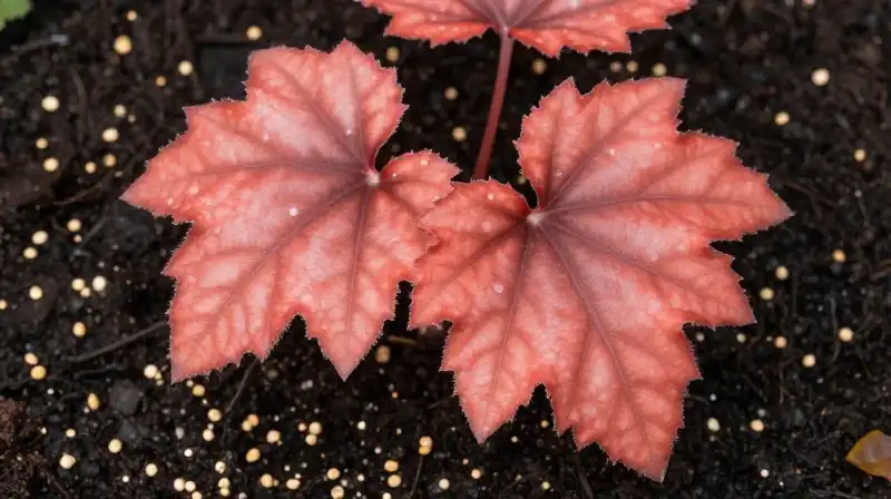 Dappled sunlight illuminates vibrant coral bells on rich soil