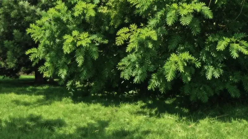 Sunlight dots a lush, detailed, shaded lawn beneath a dense canopy