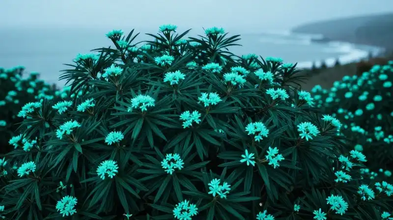 Lush vibrant Nandina glows under misty turquoise coastal light