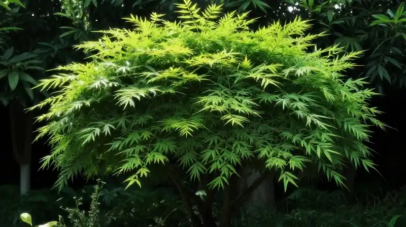 Lush, glowing Nandina cascades amidst intricate, ethereal bamboo