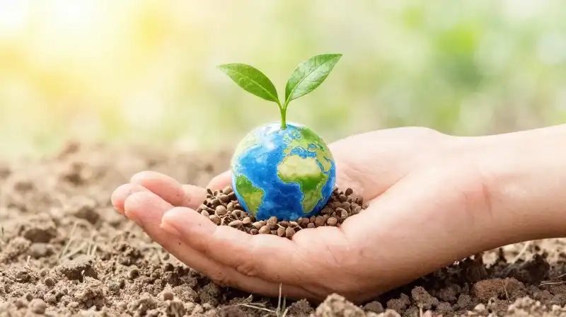 A green hand cradles a small earth sphere sprouting life
