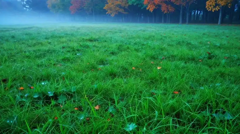 Green grass and fog blanket a cold, damp late fall morning