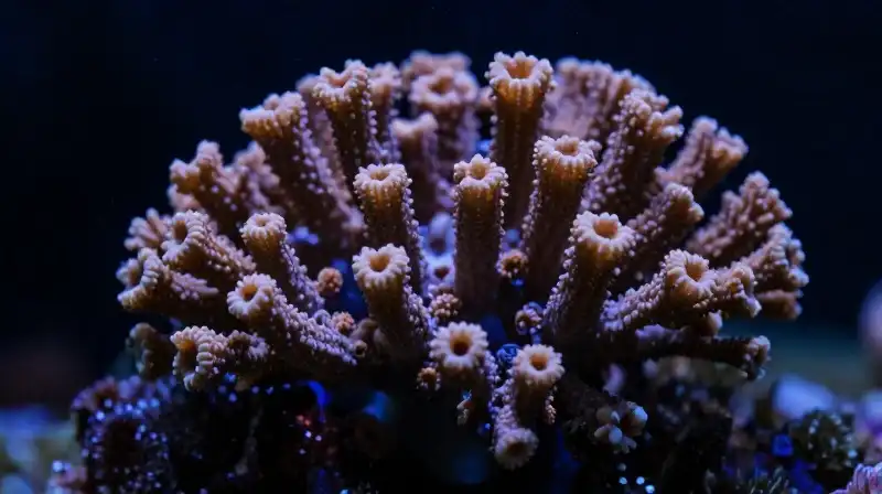 Intricate black coral towers loom in a dramatic, dark underwater abyss