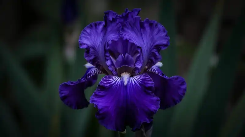 Bioluminescent purple iris illuminated in a dark, moody forest