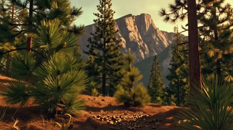 Golden light bathes pine seeds across a rugged mountain forest