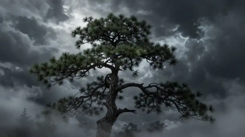 A massive pine stands alone in dramatic mist beneath a swirling storm