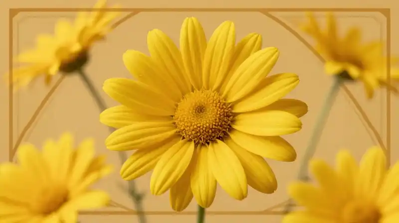 Detailed bright yellow daisies sit on a minimalist, warm geometric design